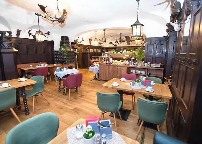 酒店 维恩米赫酒店 3*